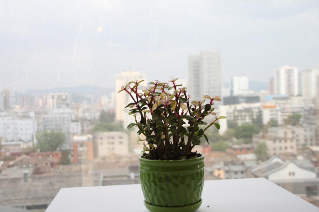 Kunming Cat Nest Female Youth Hostel Εξωτερικό φωτογραφία